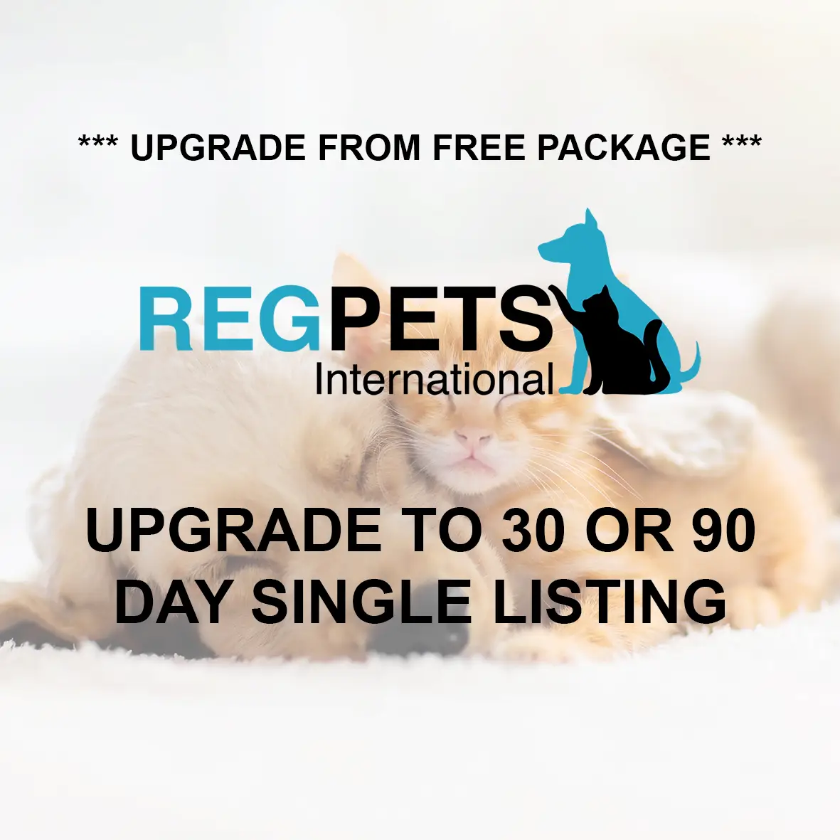 Regpets Upgrade package 1