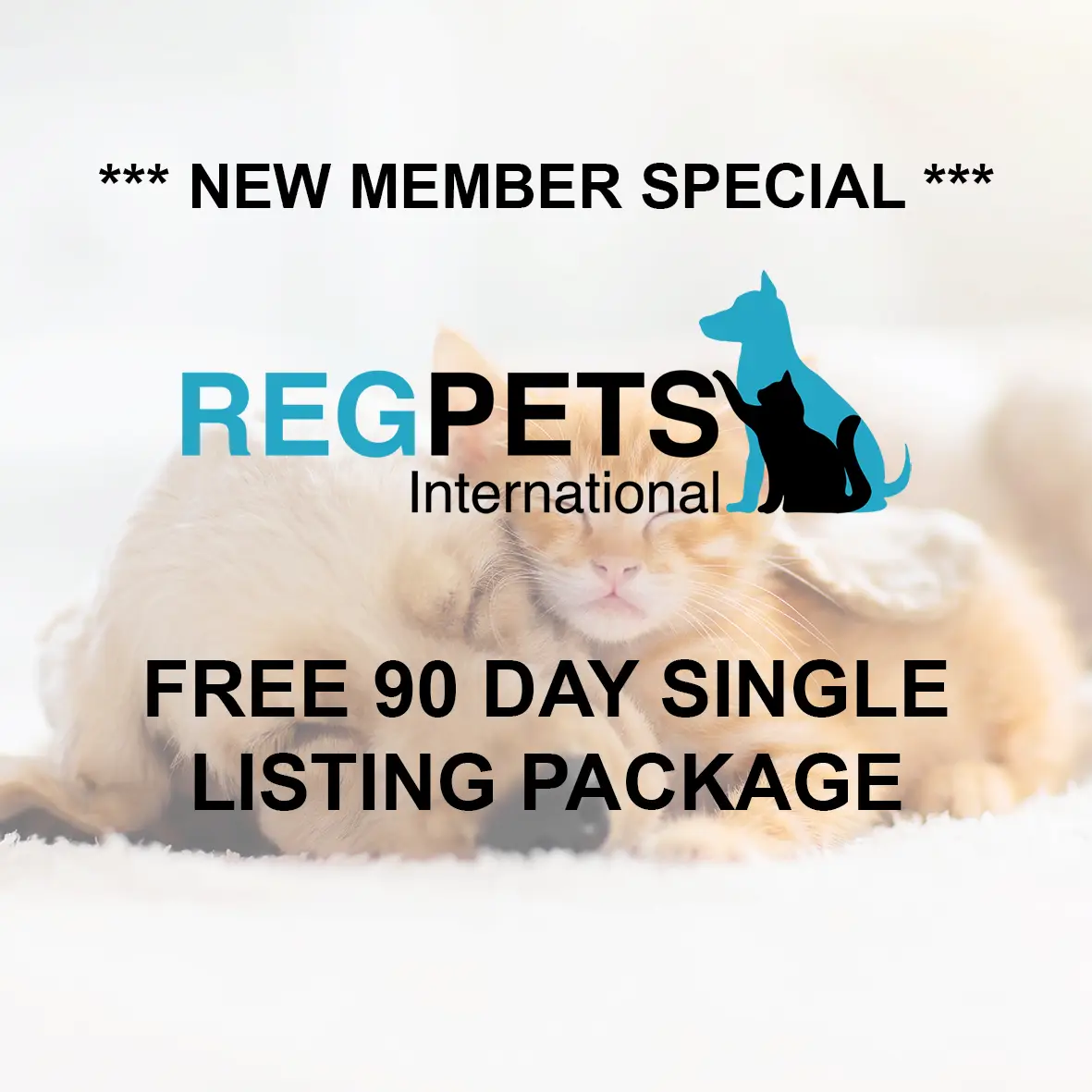 Free 90 days single listing package